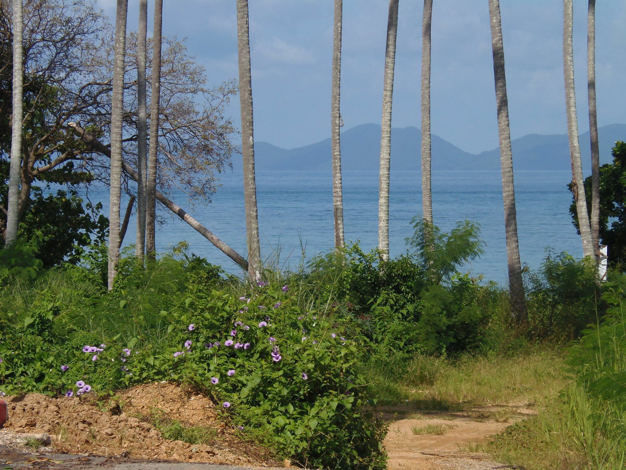 Elephants End Guesthouse Krabi Ao Nang Екстериор снимка
